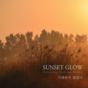 기대하지 않았다