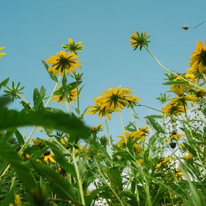 เป็นฉันเองที่ผิด