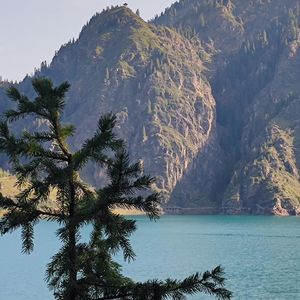 任何道理都不如自己摔一跤来的透彻