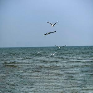 阿婆嗲嗲妈嗲嗲 第9段