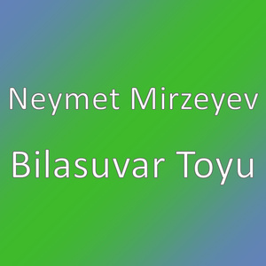 Bilasuvar Toyu