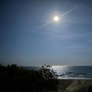 Cabarita Beach