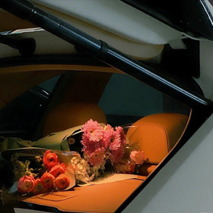 ayaulem（翻自 karton）