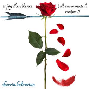 Enjoy The Silence (All I Ever Wanted) (Physical Education Remix)