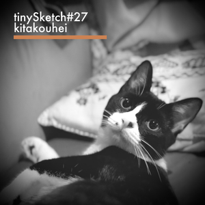 tinySketch #27
