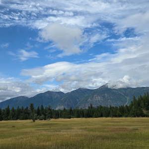 Rise of the Chosen One