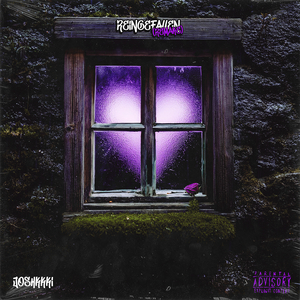 Reingefallen (Remake)