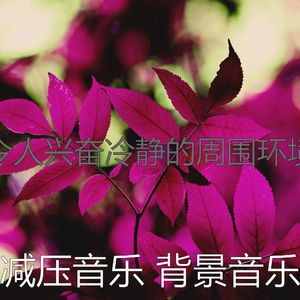 柔和的冷静的时刻