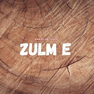 Zulm E