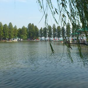 像彩虹一样美丽