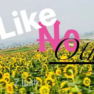 Like No Other(与众不同)