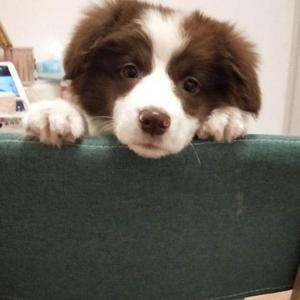 忘れるれない人