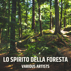 Rain 24 (Rain sound)