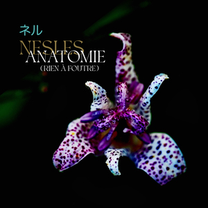 ANATOMIE (Rien à foutre)