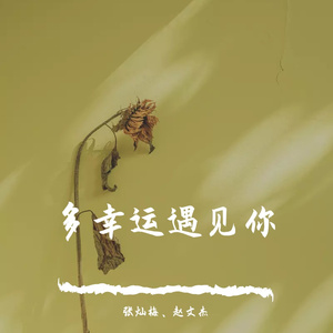 多幸运遇见你最终版