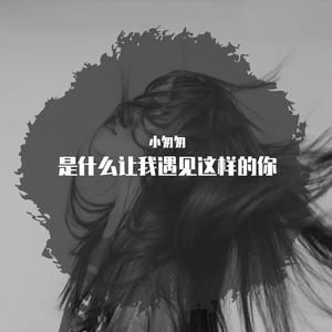 是什么让我遇见这样的你（完整女版）
