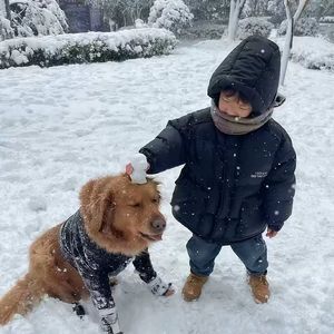 甜蜜爱情