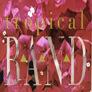 Quase Fui Lhe Procurar