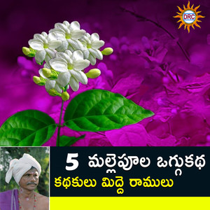 5 Mallepula Oggu Katha, Pt. 4