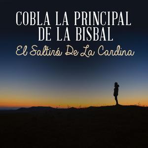 El Saltiró de la Cardina