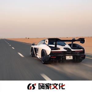 男儿当自强（DJ版）