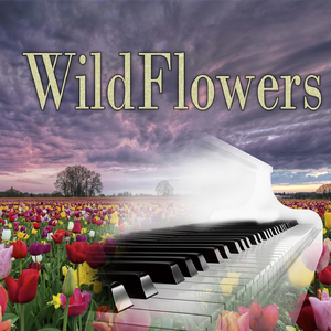 Among the Lady Slippers