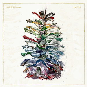 Pine Cone (Side 2)