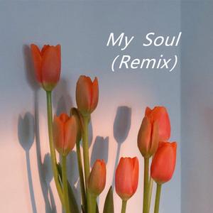 My Soul (Remix)