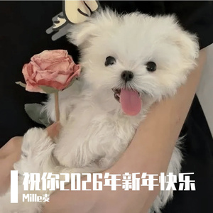 祝你2026年新年快乐