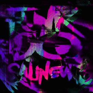 Funk Do Salinewin (Slowed)