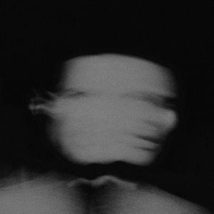 Der Intelligenzverstärker