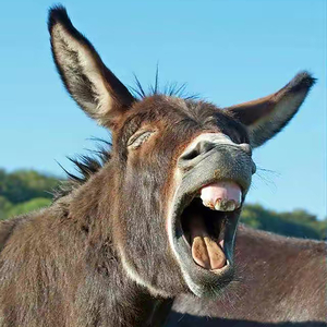 小愿望demo1030.wav