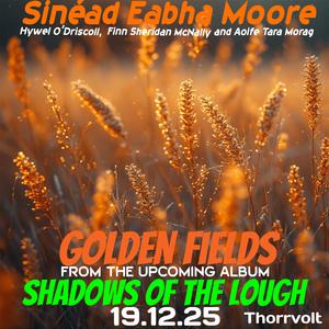 Golden Fields! (Irish+country music-Nostalgia for family, time, and harvest.)