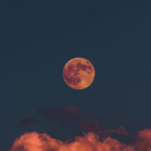 【钢琴】Komorebi