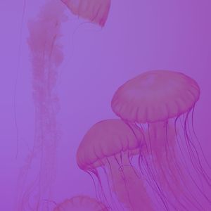 一尘不染桑拿印象数