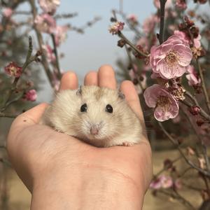 不再看天上太阳透过云彩的光