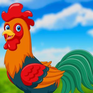 Horozumu Kaçırdılar