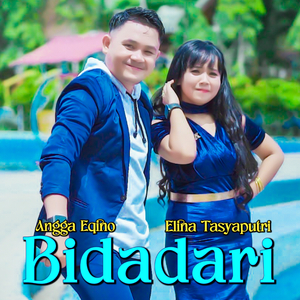BIDADARI
