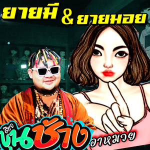 ยายมีและยายมอย