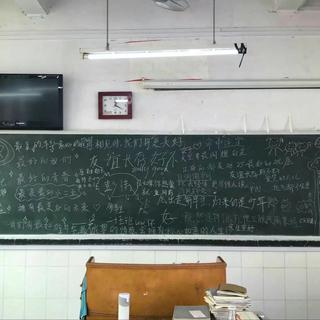 你还记得80000的那个夏天吗