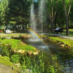 静候花开（JLU原创抗疫打气曲）