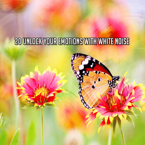 用白噪聲找到內心的平靜