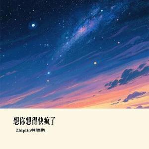 想你想得快疯了 (Cover 彭佳慧)