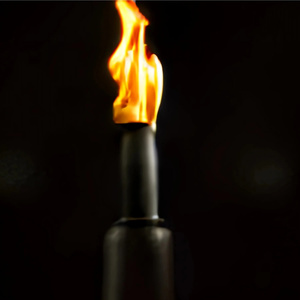 MOLOTOV