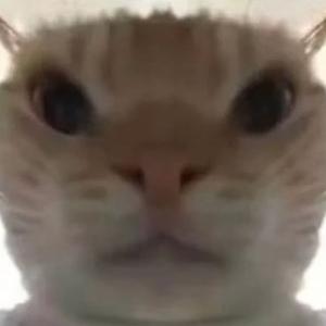 地铁逃生鼠鼠战歌