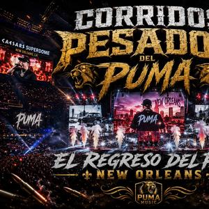 El regreso del puma