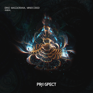 Anibal (Original Mix)