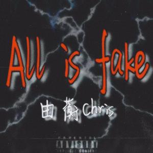 All is fake