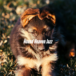 Quiet Music for Chill Dogs