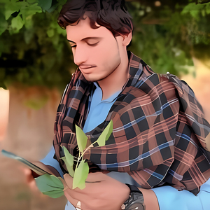 Ishq Ate